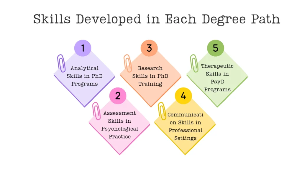 Skills Developed in Each Degree Path