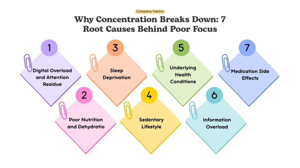 Why Concentration Breaks Down: 7 Root Causes Behind Poor Focus